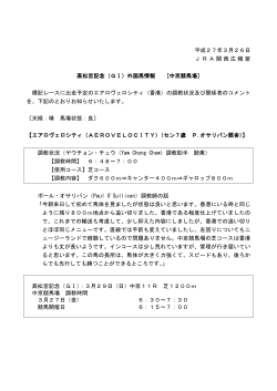 外国馬情報 [中京競馬場];pdf