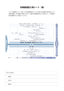 利用経過記入用シート（仮）;pdf