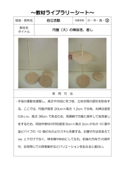 自立活動 円盤（大）の棒抜き，差し;pdf