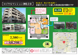 ロイヤルマンション神松寺Ⅱ;pdf