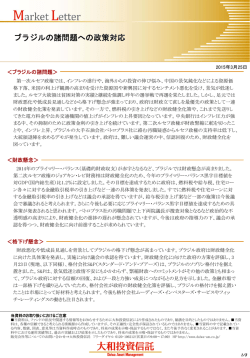 ブラジルの諸問題への政策対応;pdf