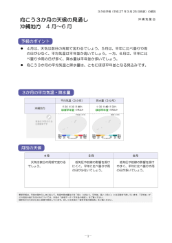解説資料（PDF形式：461KB）;pdf