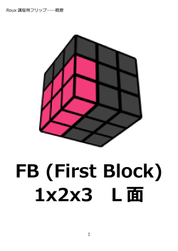 FB (First Block) 1x2x3 L 面;pdf