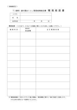 別紙様式2（職務経歴書）（PDFファイル）;pdf