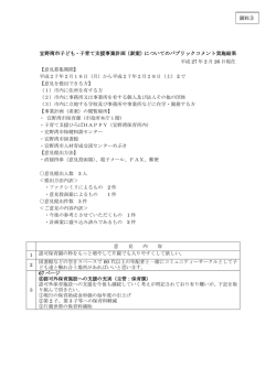 （素案）についてのパブリックコメント実施結果;pdf