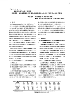 情報表示素子に関する研究研究課題;pdf