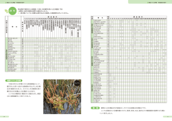 調査箇所;pdf
