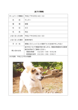 H27.3.24掲載 迷子犬情報 [88KB pdfファイル];pdf
