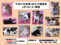 平成27年度第1回子犬譲渡会 4月7日（火）開催;pdf