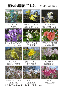 植物公園花ごよみ （3月24日号）;pdf