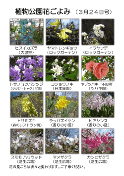 植物公園花ごよみ （3月24日号）;pdf