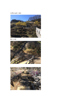 3月24日（火） 梅の公園;pdf