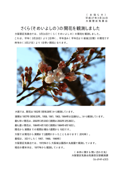 写真添付スペース;pdf
