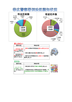 刑法犯認知状況;pdf