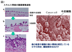 b a c 図2 中皮細胞 Cancer cell;pdf