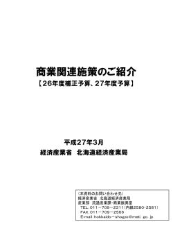 商業関連施策のご紹介（PDF形式/820KB）;pdf