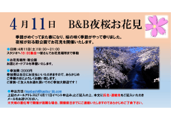 B&B夜桜お花見;pdf