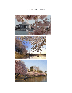 ワシントン D.C.の満開桜 - WordPress.com;pdf