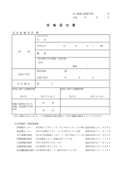 妊 娠 届 出 書;pdf