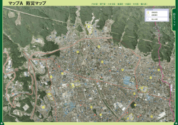 マップA 防災マップ;pdf
