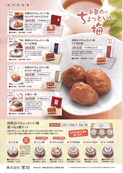 商品パンフレットはこちらをご覧ください - J;pdf
