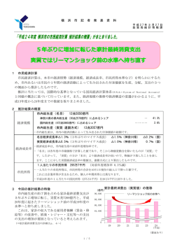 記者発表資料（PDF形式 916KB）
