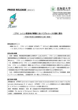 （プロ）レニン受容体が網膜においてグルコース代謝に関与