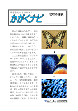 ミクロの探検