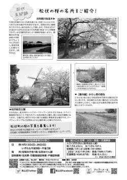 松伏の桜の名所をご紹介！