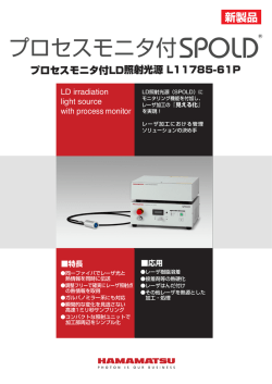 プロセスモニタ付