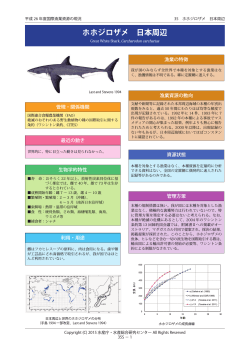 要約版PDF - 国際漁業資源の現況