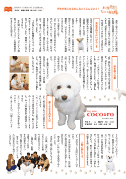 言 葉 を 話 せ な い か ら こ そ 命 を 扱 う 仕 事 人 間 と 同 じ で す 家 で
