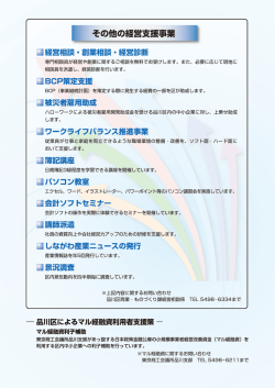 ーその他の経営支援事業ー