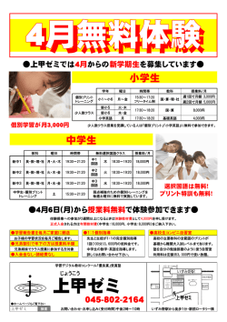 上甲ゼミ - DTI