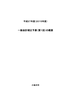 一般会計補正予算（第1回）の概要