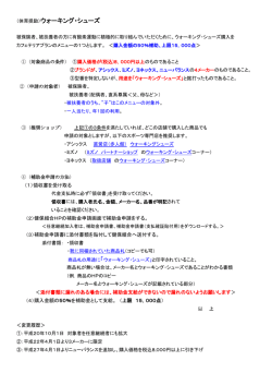 （体育奨励）ウォーキング・シューズ
