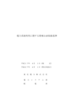電力系統利用に関する情報公表取扱基準(PDFファイル 124KB)