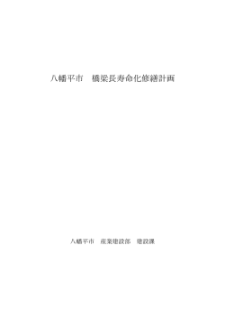 八幡平市 橋梁長寿命化修繕計画
