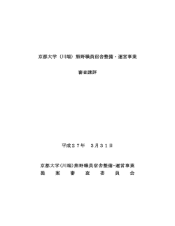 （平成27年3月31日公表）（PDF）