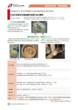 森林研究本部 林産試験場 木材の効率的な強制腐朽処理方法