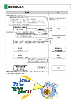 補助制度の流れ