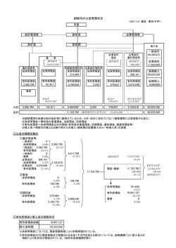 一般会計 44,300,237 企業会計 990,000 17,923,005 長期