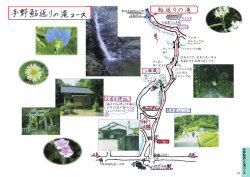 杉木立です。 天気の良い日は 木漏れ日が気持ち良いです。