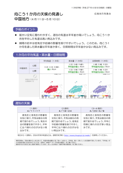 解説資料（PDF形式：455KB）