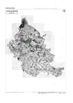 成田都市計画公園の変更 総 括 図