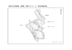 成田市生き物調査 図面集 調査ブロック 8．成田空港周辺域