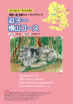 迫子-表面 [更新済み]
