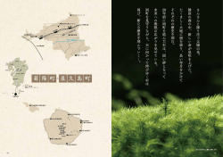 菊 陽 町 屋 久 島 町