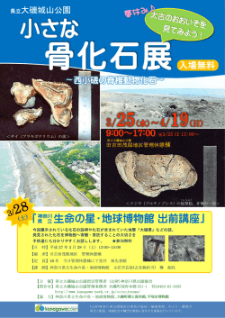小さな骨化石展 「西小磯の脊椎動物化石