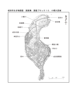 成田田市生き物調査 図面集 調査ブロック10．小橋川流域